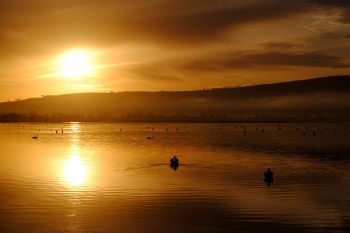 Inch Island 4